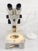 Nikon SMZ-2B Stereo Microscope with Illuminator