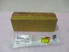 AMAT 0020-02031, Flag Home. 417626