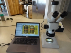 Nikon SMZ2T microscope, 10-63x,plain std,10X e/p's,new LED r/l, HD camera system