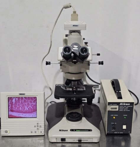 Nikon Optiphot-2 Fluorescence Microscope with DS-5M Color Camera