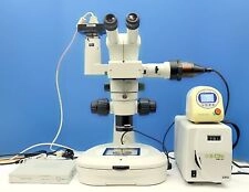 Nikon SMZ800 EPI Fluorescence Stereo Zoom Microscope, P-FLA2, X-Cite, Tokai Hit