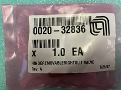 0020-32836 & 0020-32837 HINGE,REMOVABLE SLIT VALVE