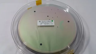 0021-35008 Chamber Reflector Plate