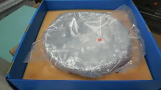 0040-20561 (or 0040-21178), AMAT, PRECLEAN II BELL JAR SERIALIZED