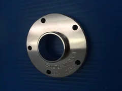 15-109795-00 RTNR, SEAL, BRGNG HSING, DP SP