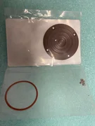 15-169372-00 INSERT,PADDLE,300MM,VESPEL