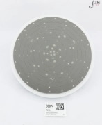 30074 LAM RESEARCH ELECTROSTATIC CHUCK, 715-102001-053 839-102001-091