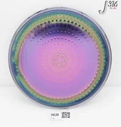 34539 LAM RESEARCH ESC ASSY, ELECTRODE INNER 602 (PARTS) 716-064782-602