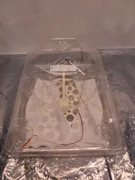 AMAT 0010-10036, Susceptor Assembly, TEOS, 8", SCREWLESS, 111413