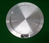 AMAT 0021-14590 300MM FACE H016 PLATE, USED