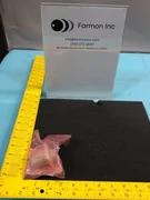 AMAT 0021-39918 RF SHELL, CONTACT, 300MM, 177310