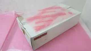 AMAT 0021-79624, Compression Polymers, KH-20F-4, Wall Left. 329215 