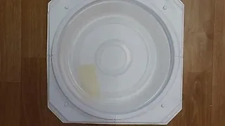 AMAT 0021-81369 MEMBRANE, 300mm TITAN PROFILER 5 - ZONE, NEW