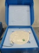 AMAT 0040-18219 LASED 200MM ESC SNWF W/WTM CVD, 107235