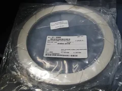 AMAT 0040-80465 RETAINING RING 200MM 5 ZONE PROFILER
