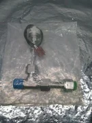 AMAT 0050-60884 Valve Assy w/ E36W-H16 Absolute Pressure Switch, 640 Torr,320654