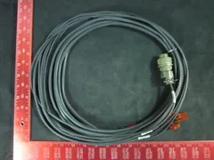 AMAT 0150-10668 CABLE, POWER SUPPLY, 24V AUS, GIGA-FILL SAC