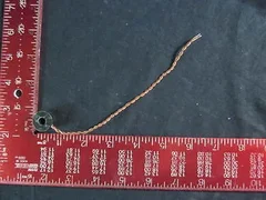 AMAT 0190-00036 R.F. SENSE COIL