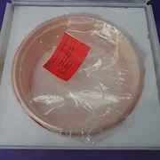 AMAT 0200-00969 CERAMIQUE PUMPING LINER TEOS/FSG,  USED