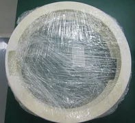 AMAT 0200-03407 pumping ring right