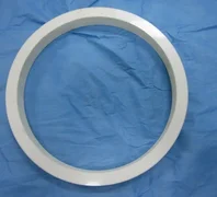 AMAT 0200-10143 Ceramic insert ring