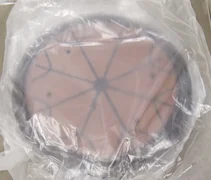 AMAT PES056 0040-99949 ESC 200mm for MXP+ NEW ESC Shell Assembly (S17) 