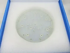APPLIED MATERIALS 0041-58171 INSULATOR PLATE, NEPTUNE AMAT
