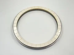 APPLIED MATERIALS 0042-06697 RETAINING RING 300MM FLANGE THICK SST AMAT