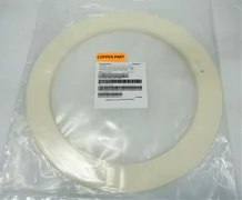APPLIED MATERIALS 0200-07965 SINGLE RING DPS II 300MM AMAT *CLEANED*