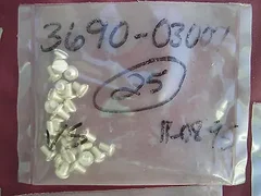 APPLIED MATERIALS 3690-03007 AMAT QTY 25