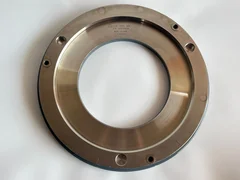 APPLIED MATERIALS AMAT 0020-22021 WEIGHT, 300MM TITAN SP+ HEAD