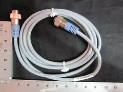 APPLIED MATERIALS (AMAT) 0620-98059    DNET 3.0M TRUNK M-STR/F-STR