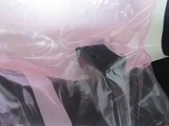 APPLIED MATERIALS (AMAT) 0940-90009    INDICATOR,NEON,220V