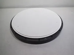 Applied AMAT 300mm ESC Chuck 0010-33590 0041-08142 0041-08143 11168200-437-0002