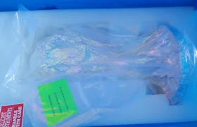 Applied Materials 0010-23066