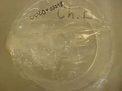 Applied Materials Quartz Insulating Pipe 0020-03398