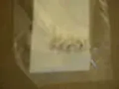 Applies Materials AMAT Insulator Bead Ceramic 3420-90013 (package 10)