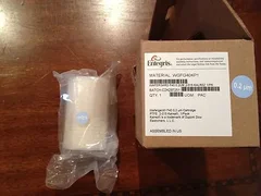 Entegris Wafergard Gas Filter - WGFG40KP1