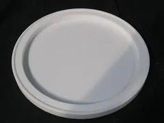 LAM 713-441645-001 COVER, PROT, ESC