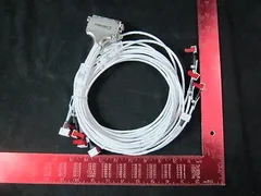 LAM 853-017939-001 Cable, Assembly Exit L/L SIG