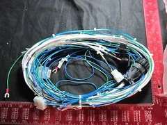 LAM 853-370393-001 Harness Assembly, Amp Sensor