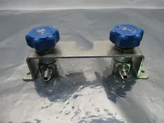 LAM 853-810342-001 Assy, 2 Parker Veriflo 944SSFSMMPM Diaphragm Valves, 45300507