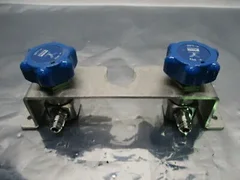 LAM 853-810342-001 Assy, 2 Parker Veriflo 944SSFSMMPM Diaphragm Valves, 45300507