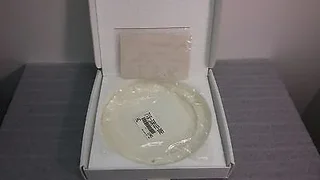 LAM Research 716-330122-002 PL, Top, Cer F/G  Cleaned Part