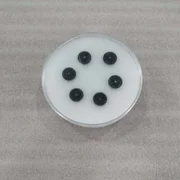 Lam 713-198862-001 Suppler ID:1030702