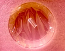 Lam Research 716-027257-001 Semiconductor Part Ring Qtz Coupling