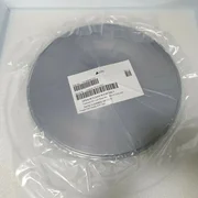 Lam Research ELCTD,INR,SI,300MM 716-069688-535