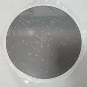 Lam Research ESC Chuck 839-102001-081