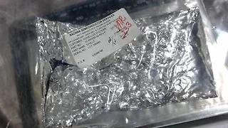 NOVELLUS - 00-685936-00 - SHIELD