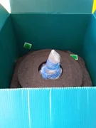 NOVELLUS Shower Head, 16-132590-01